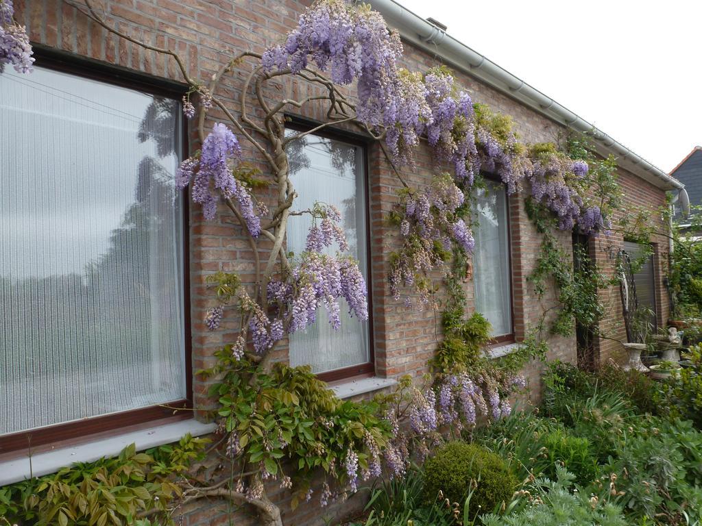 Guesthouse Kolibriehuys Nieuwkerke Exterior foto